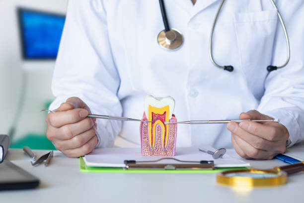 Best Broken or Cracked Tooth Emergency Dentist in Lucerne Valley, CA